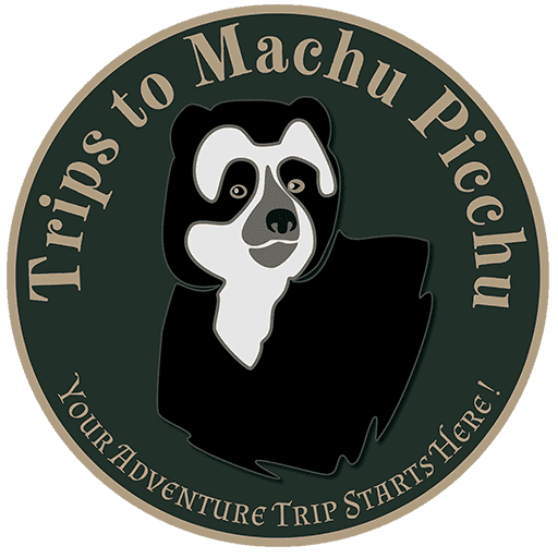 Trips to Machu Picchu