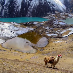 Ausangate Mountains