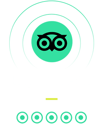 Tripadvisor